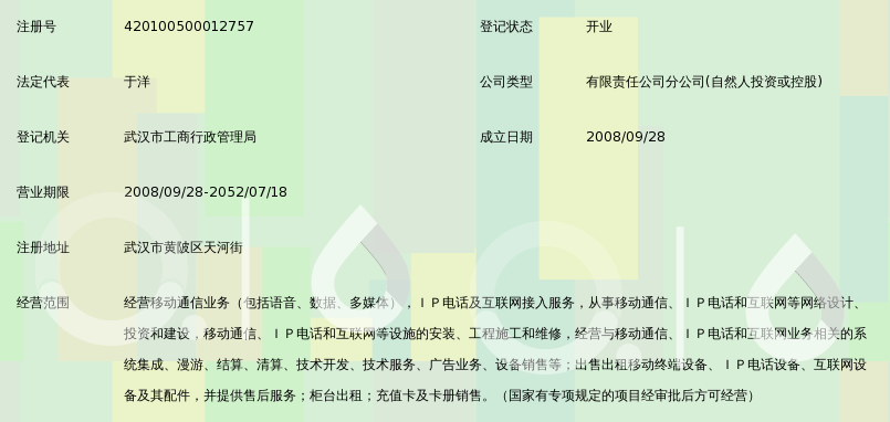 中国移动通信集团湖北有限公司武汉天河机场营
